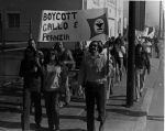 (3696) Gallo Boycott, rally